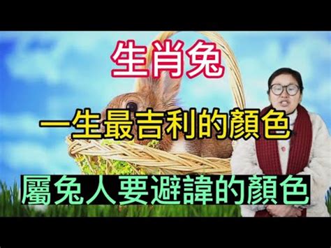 兔年幸運色|誰最適合用兔年幸運色？專家解答